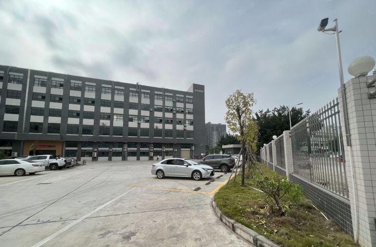 仲恺陈江五一新出楼上3000平原房东无公摊特价出租500平起