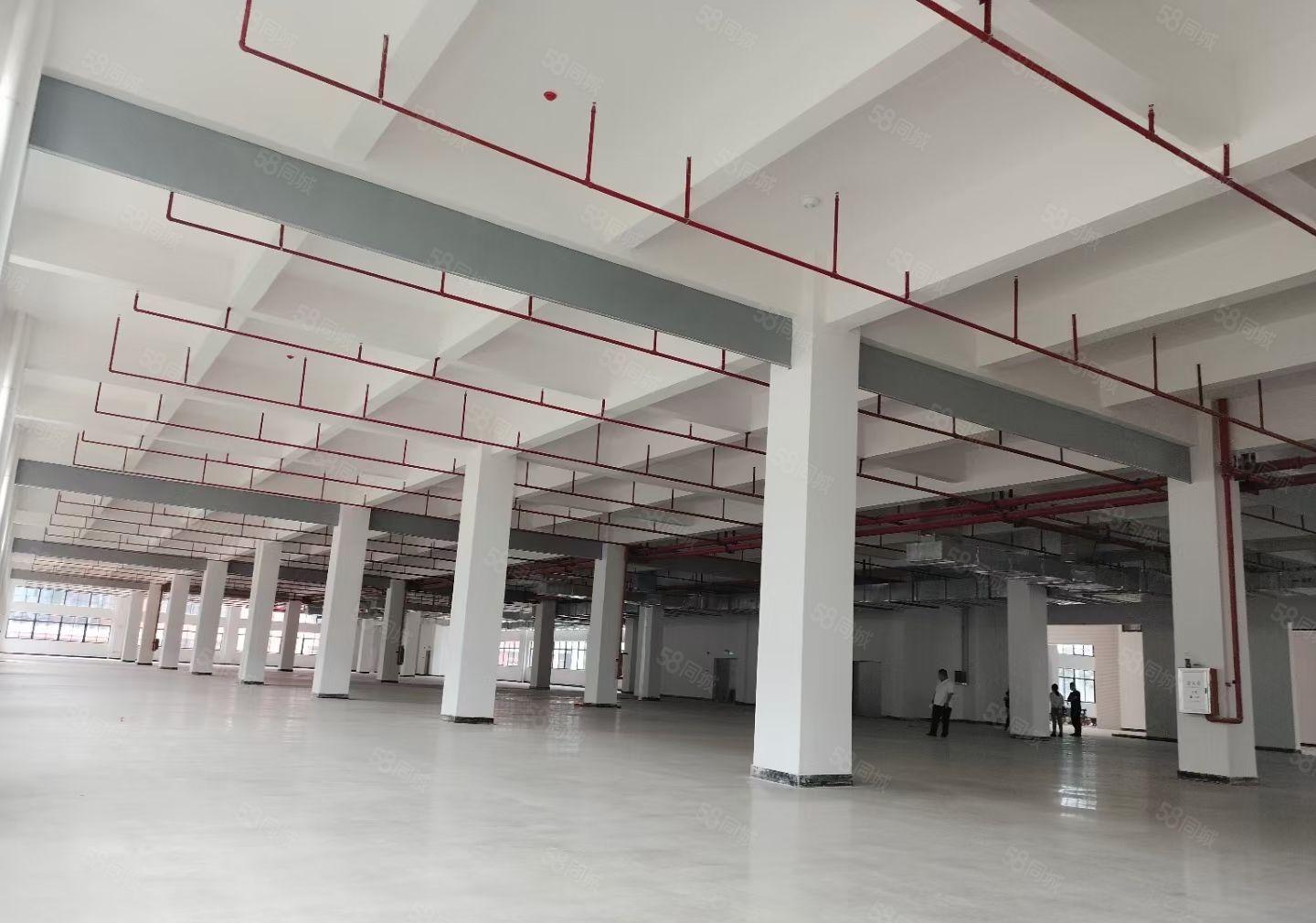 惠州市沥林镇智能产业园区总建筑面积15万平方米招租