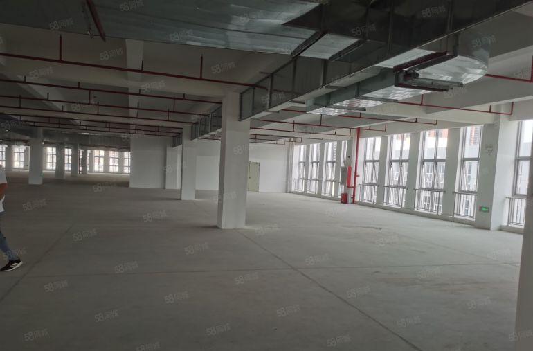 低价12元陈江楼上2600平现车装修厂房出租500平起分