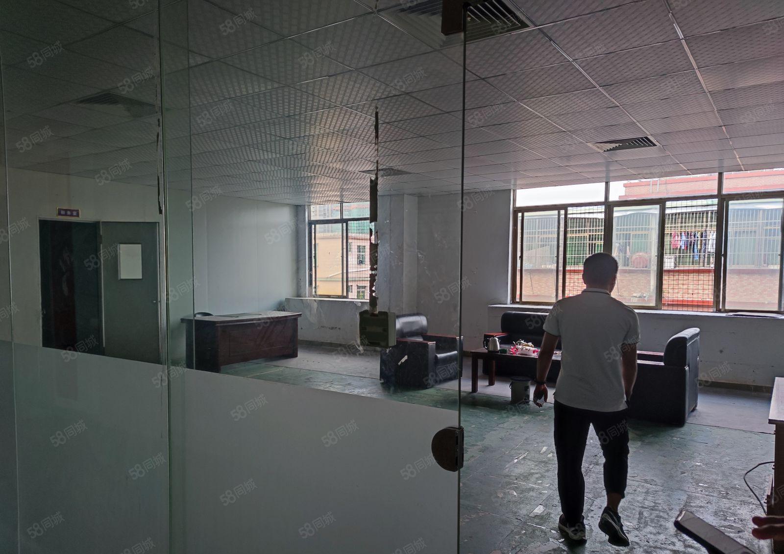 潼侨新建红本厂房出租，配套设施完善！主路边，交通便利