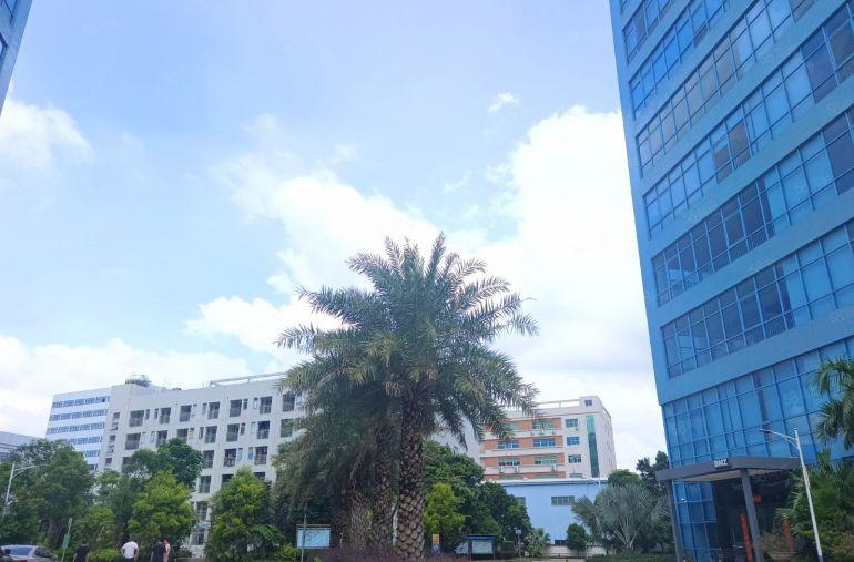 陈江高新园区楼上现成精装办公 厂房1500平 现成洁净车间