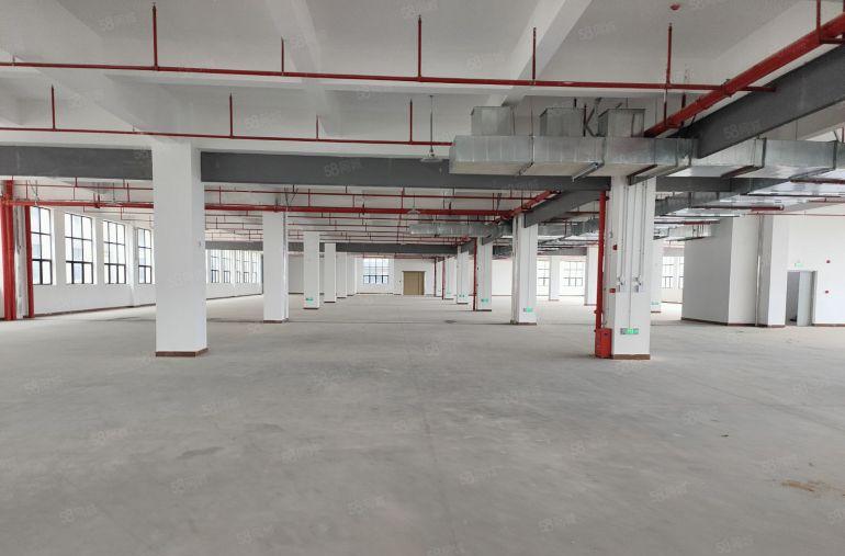 低价10元起仲恺陈江原房东独院20000平方厂房仓库出租一楼