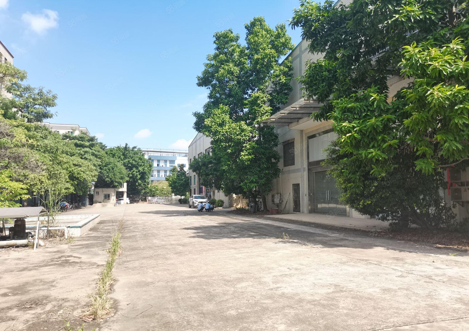 仲恺陈江12米钢构厂房3200平方出租