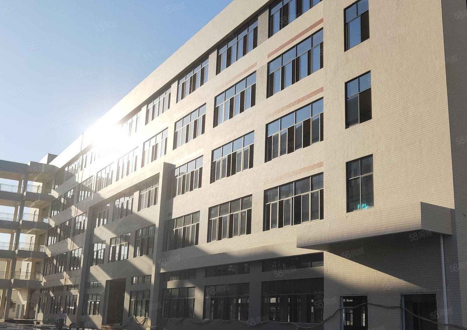 沥林路口原房东花园式厂房 一楼3000平米对外出租