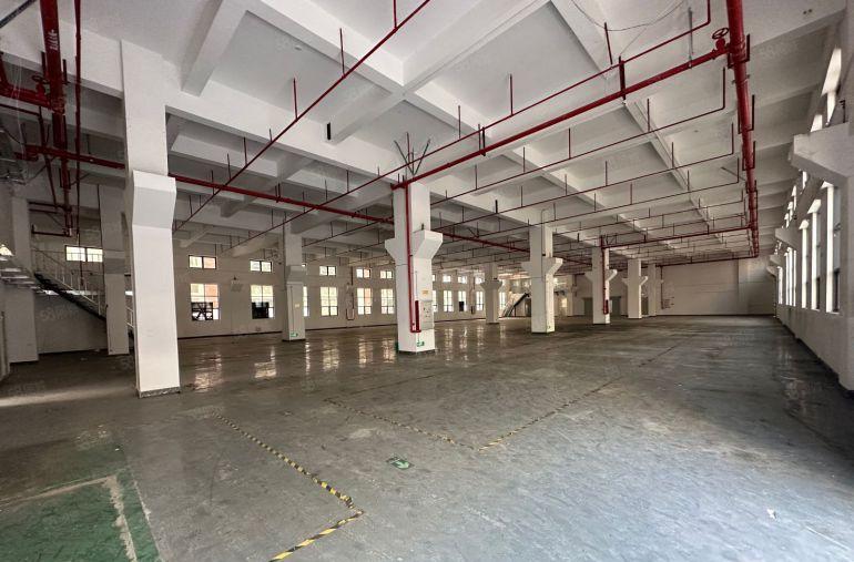 陈江平南原房东标准一楼7米高带牛角可分租500平方现房