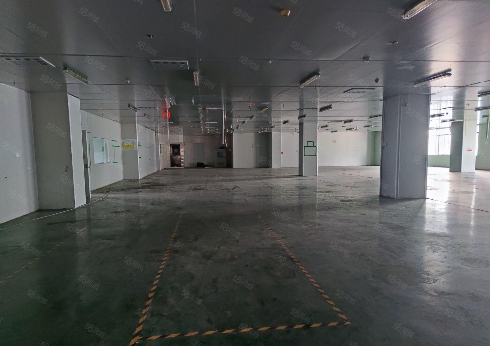 陈江标准厂房出租，成熟工业区！商业区，易招工，配套设施齐全