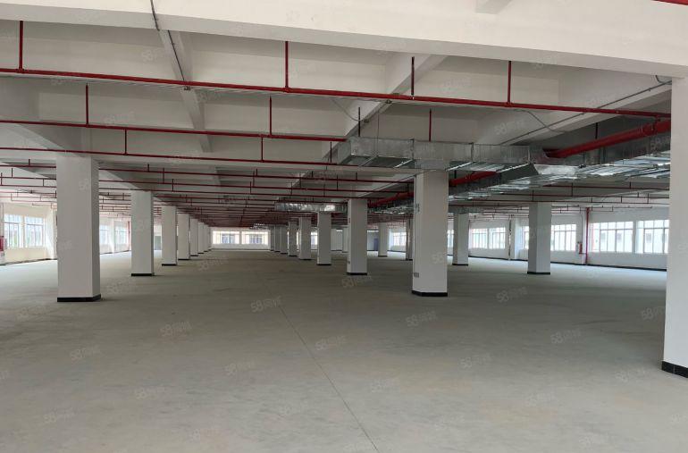 低价出租仲凯高新区一手房东独院厂房16600平方米