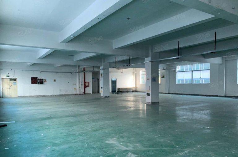 沥林8元厂房，1000平现成装修，原房东厂房出租，不限行业