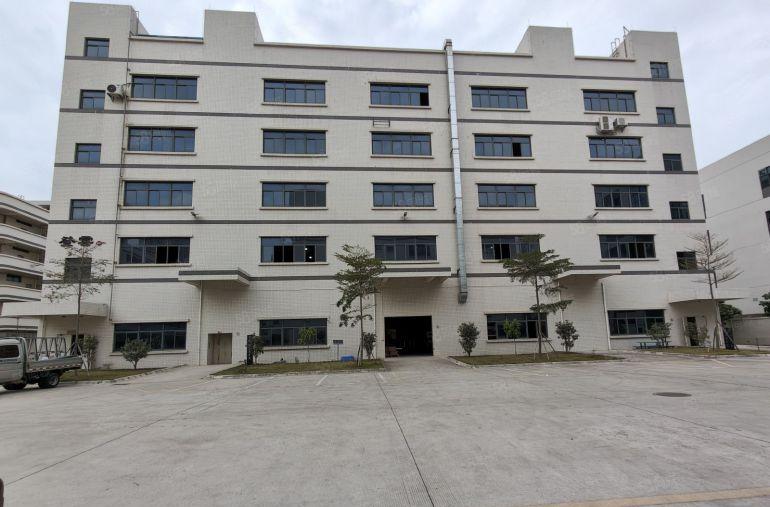 仲恺潼桥1100平方带装修办公室全新红本厂房仓库出租可分租