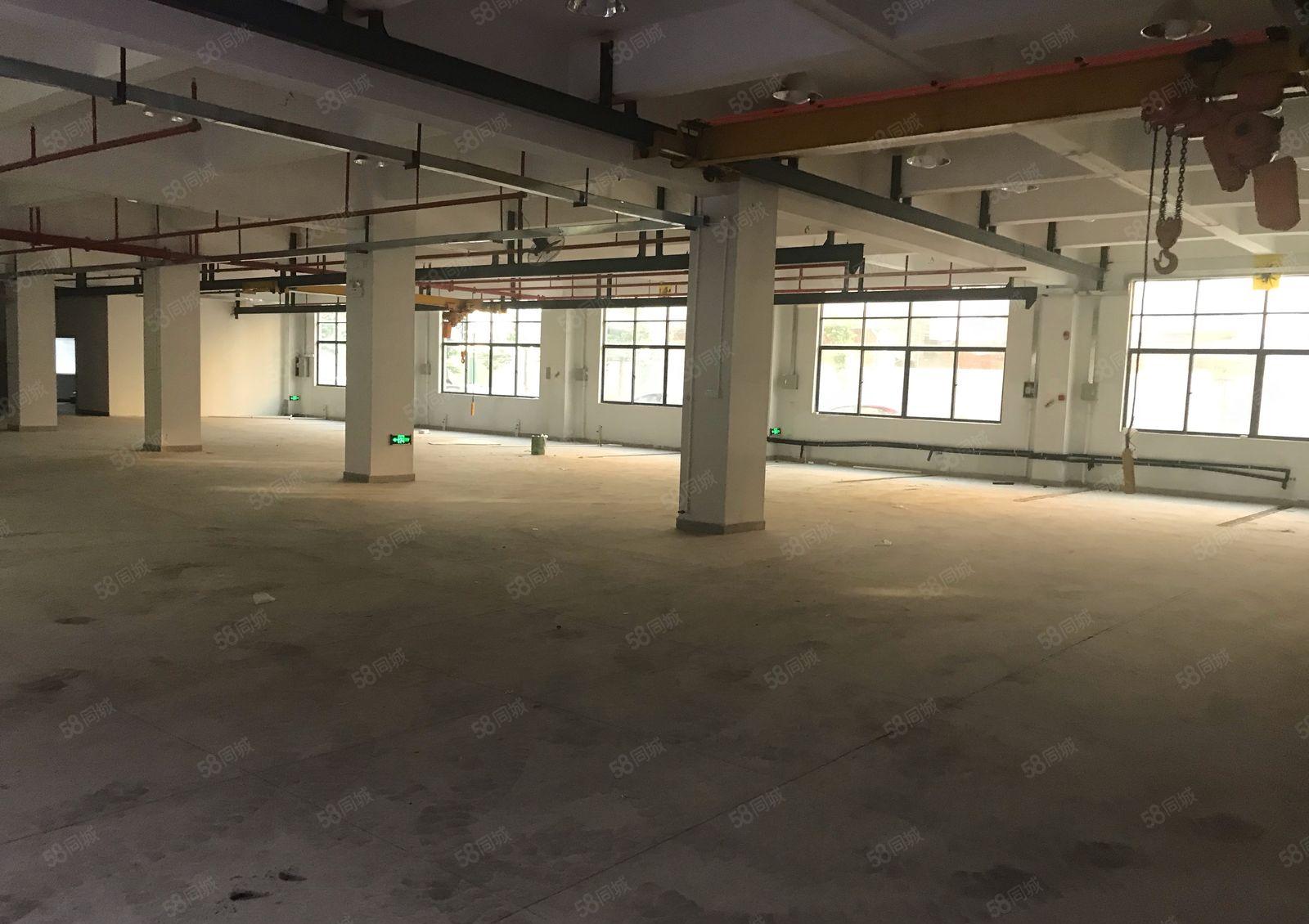 陈江大欣工业区一二楼500平1000平出租