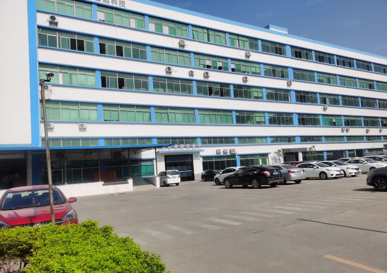 仲恺TCL附近新空出带牛角一楼厂房1600平米！可分租一半