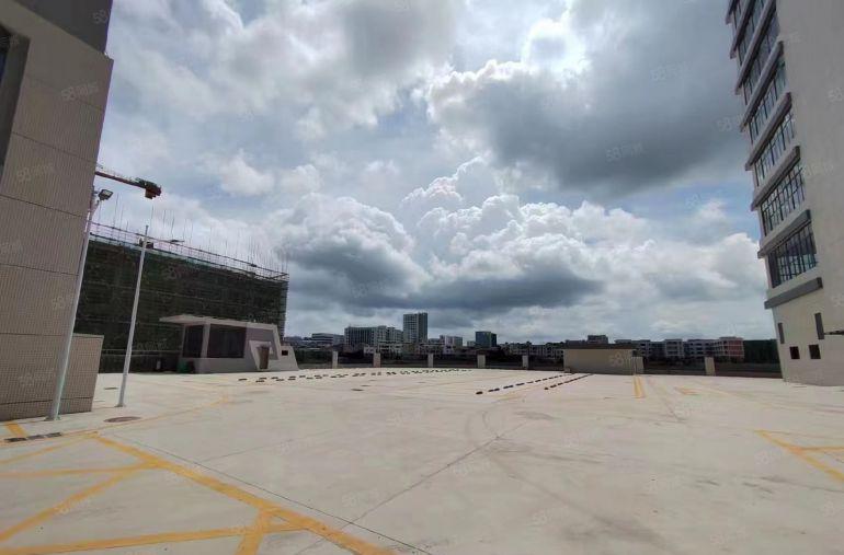 低价仲恺陈江全新80000平方红本厂房出租大小分租行业不限