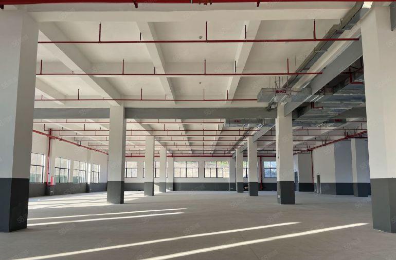 仲恺陈江特价15元独门独院1500平全新免租3个月