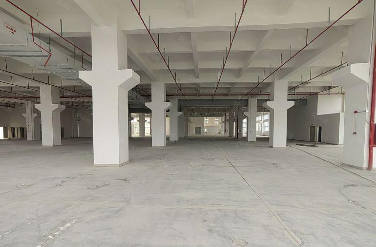 仲恺高新区原房东全新红本可办环评厂房出租13800平电梯5吨