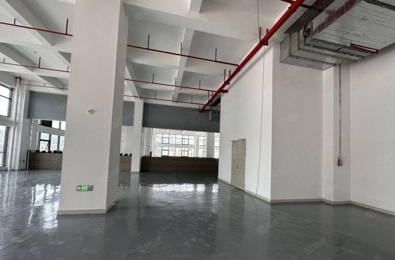 仲恺五一工业区新出楼上厂房四千平原房东低价厂房五百起分十块！