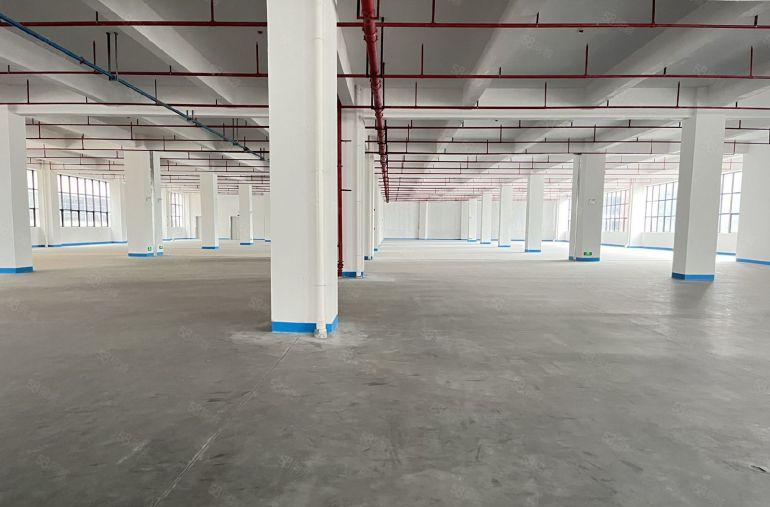 超长免租期仲恺原房东红本厂房低价出租带地坪漆200平起分租