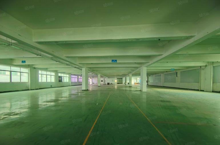 一手房东出租8000平独门独院三层厂房