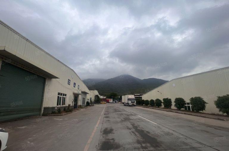 陈江原房东独门独院钢构5000平500平起分高度11米