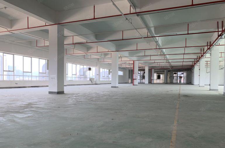 (9元)仲恺高新区红本厂房1500平出租形象好不限行业