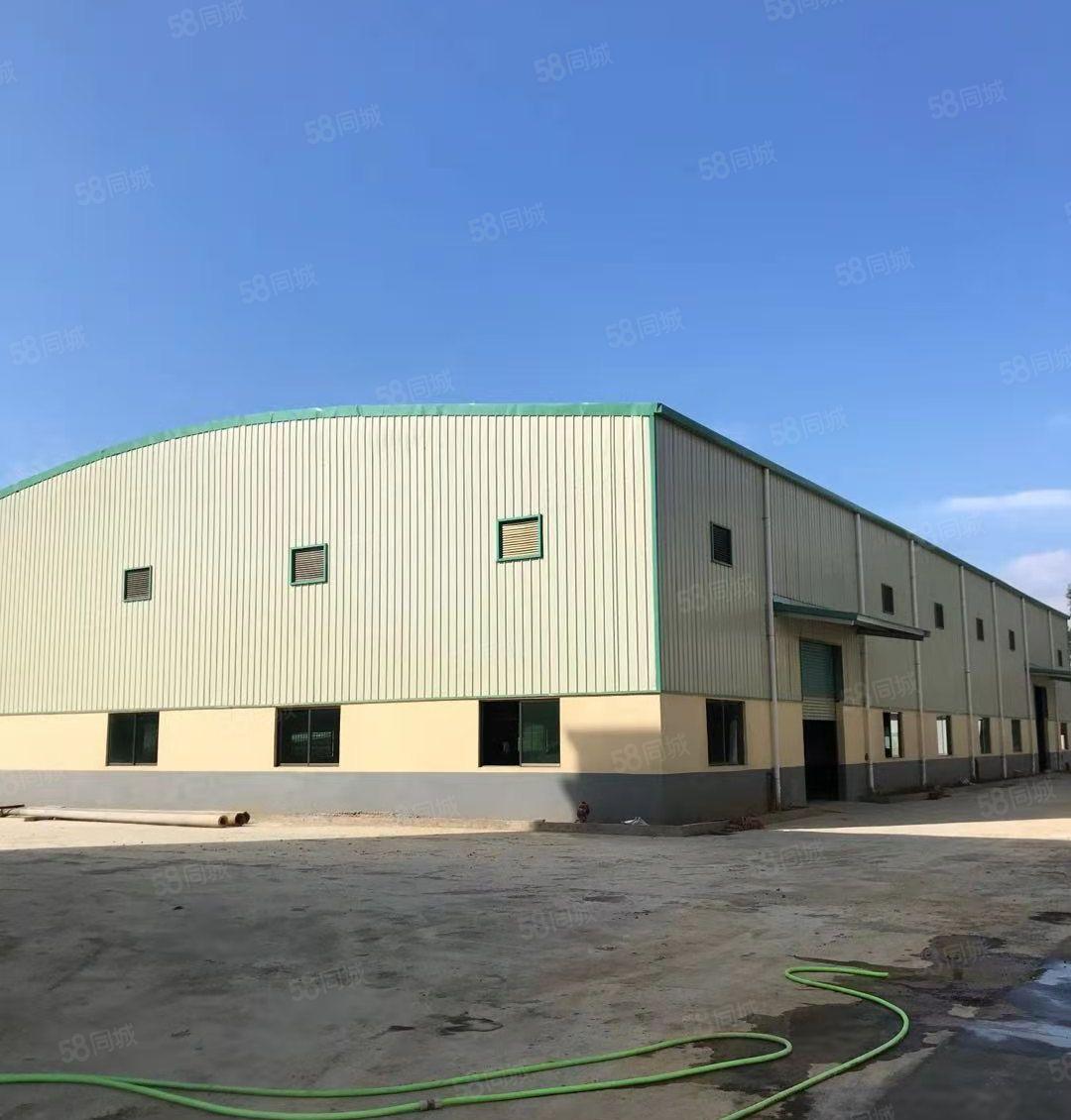 仲恺陈江原房东独门独院单一层厂房出租 可分租