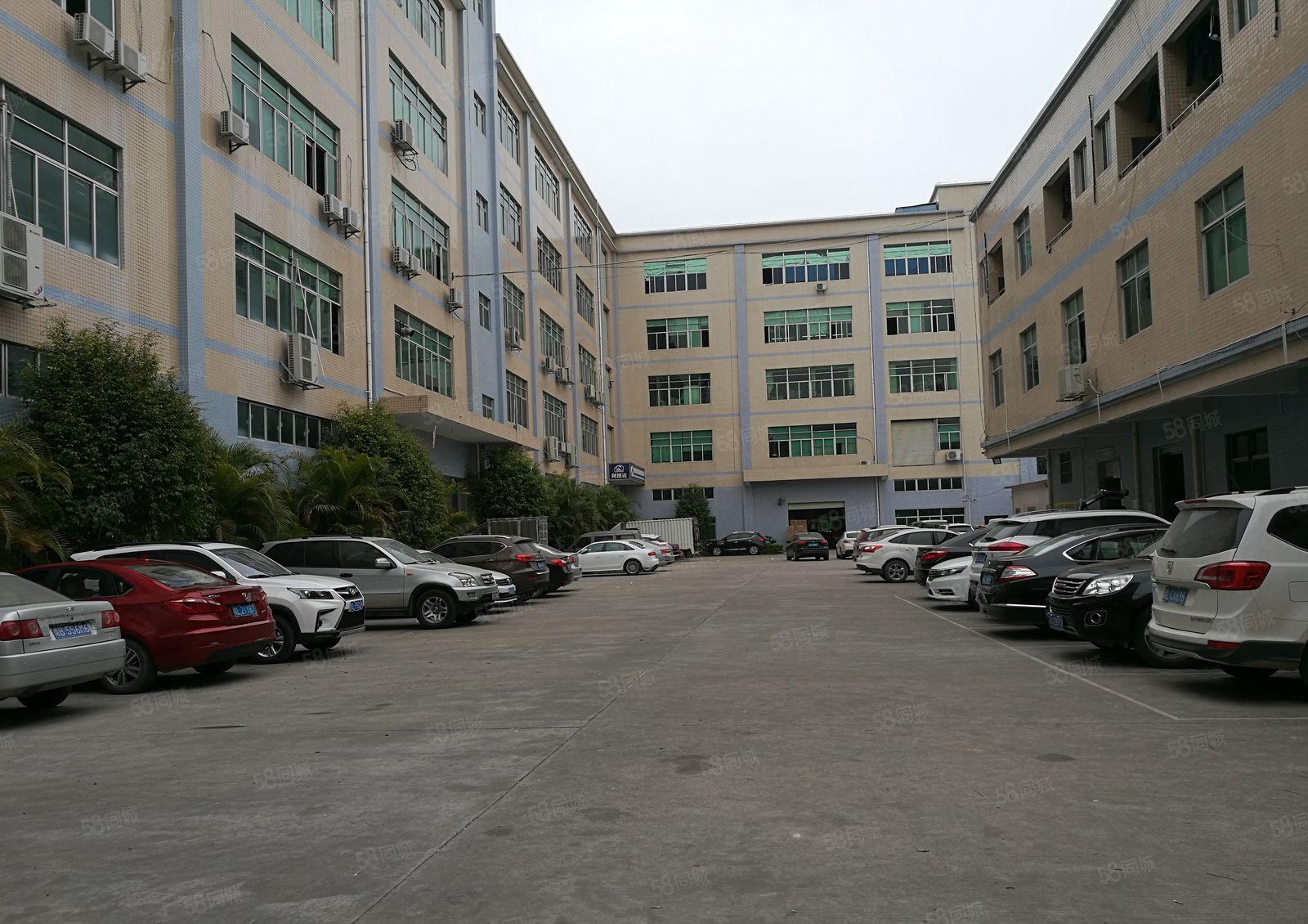 平南工业园区标准一楼2200平方可分租800平方高度6米