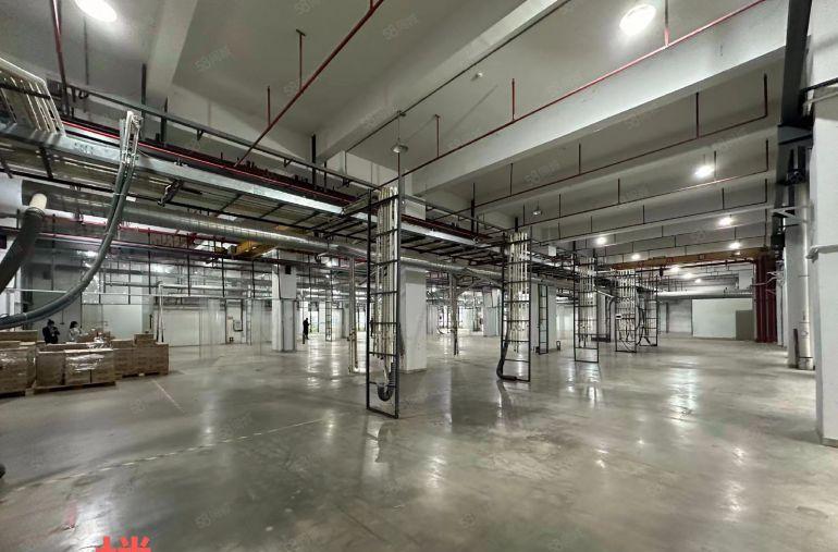 可分租沥林厂房一楼3000平楼上2000平精装修厂房低价出租