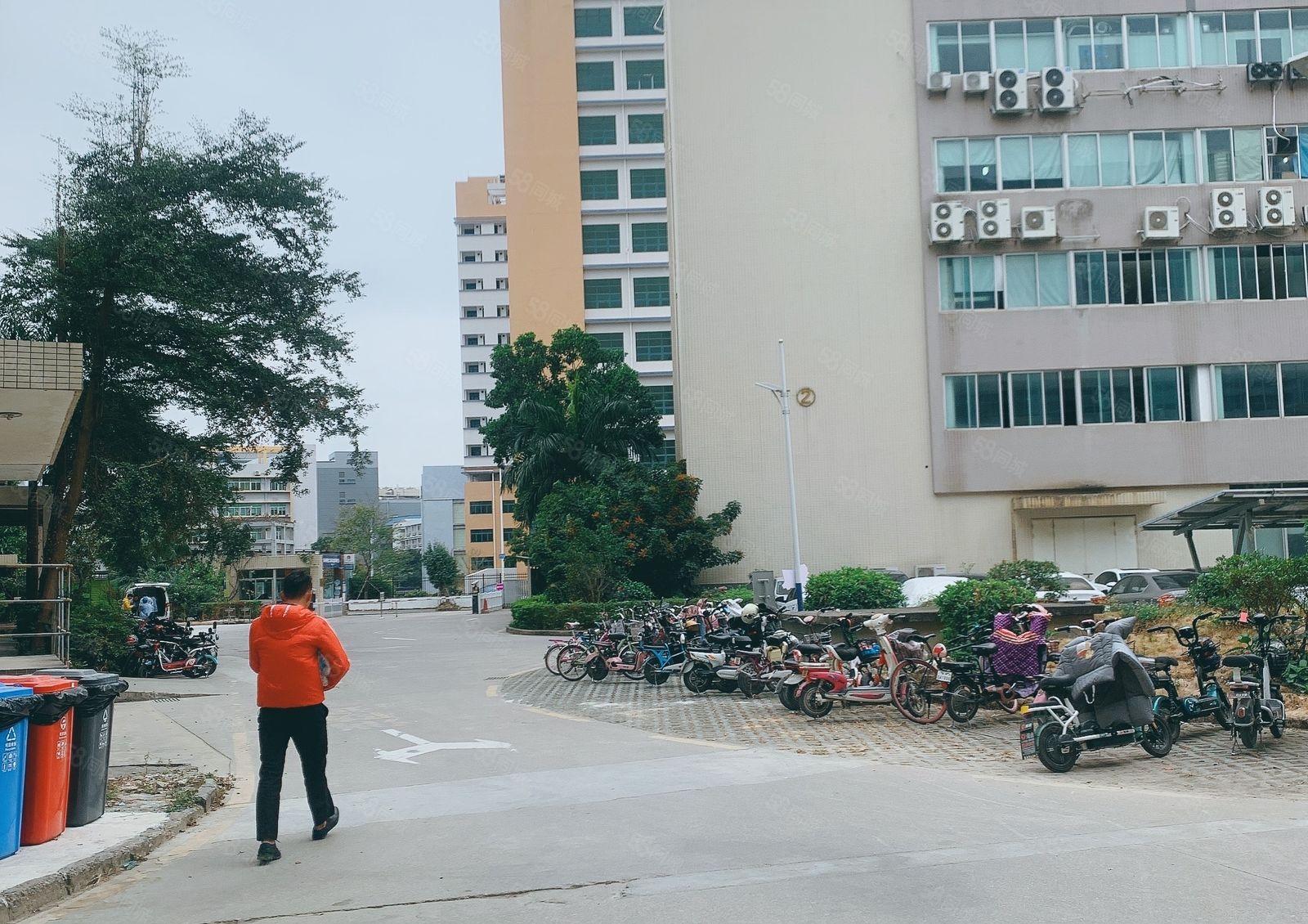 仲恺陈江原房东精装修2000一楼层高6米1000仓库厂房出租