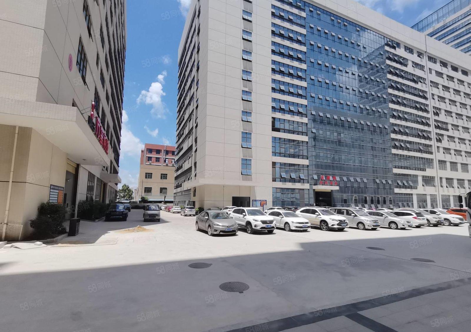 300平起租陈江五一原房东工业园4万平厂房出租可分租一楼7米