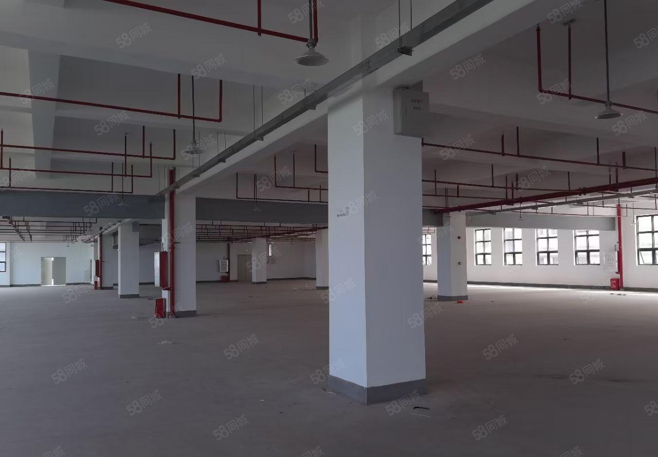 惠环镇标准9200平小独院厂房出租，空地大，有红本！价格便宜