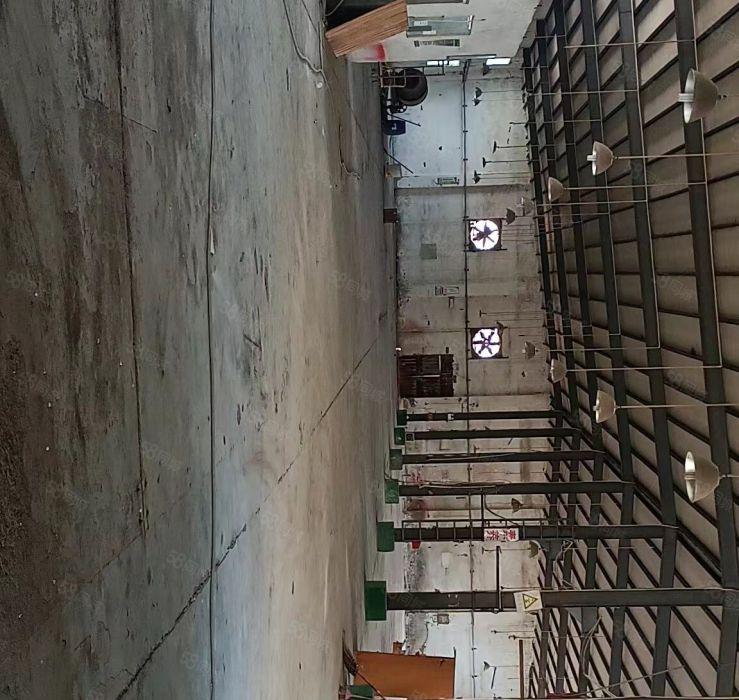 惠州市仲恺区独院单层钢构2500平方可办环评9.9元一平出租