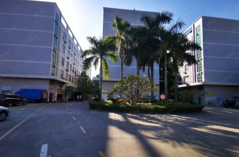 500平起分租 陈江原房东工业园一楼2000平厂房出租带牛角