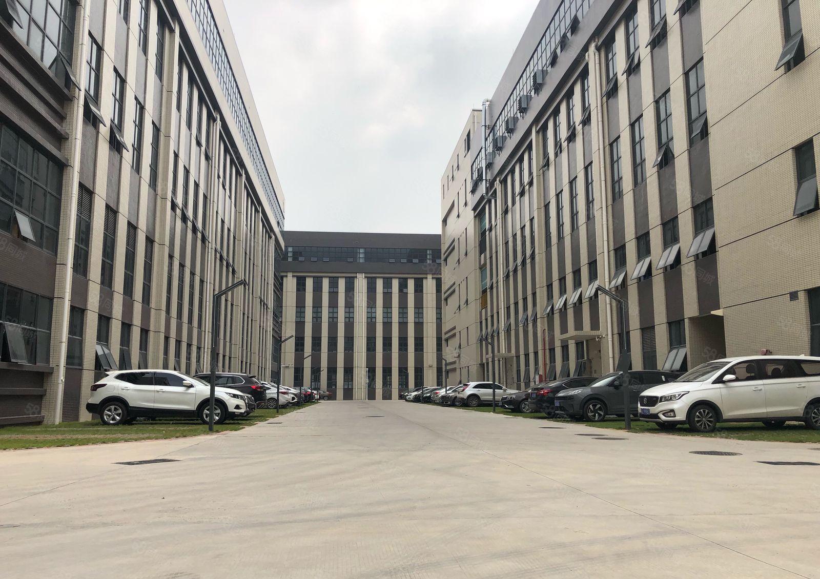 原房东仲恺平南工业区全新标准厂房3000平方一楼7米高带牛角