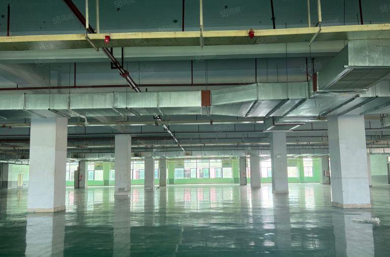 仲恺新出2000平带装修带地坪漆厂房仓库低价出租可分租空地大