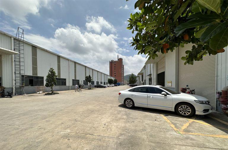 仲恺主干道边带行车8米钢构出租有红本行业不限配电充足