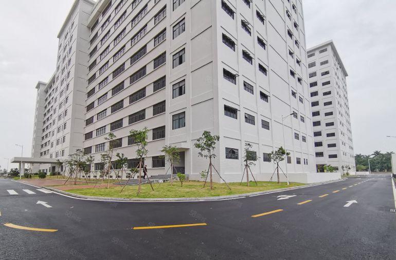 8元一平起沥林工业园红本标准厂房1000平厂房出租可办环评