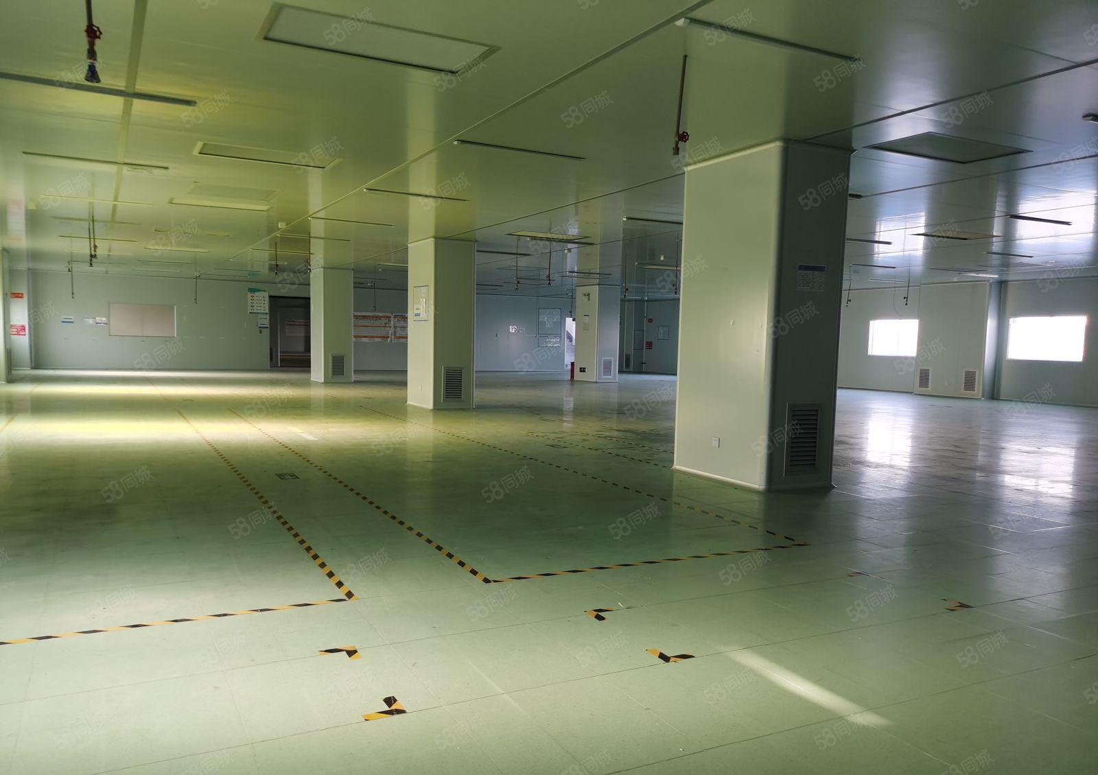 仲恺原业主万级无尘车间3500平