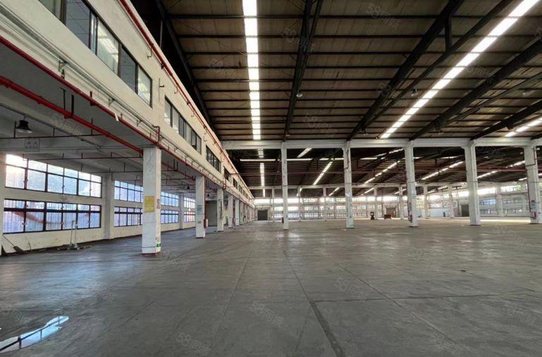 厂房出租陈江独院钢结构16000滴水高12米形象好价格便宜