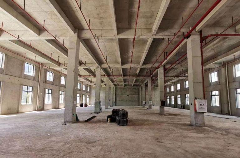 花园式独栋全新厂房招租，房东直租