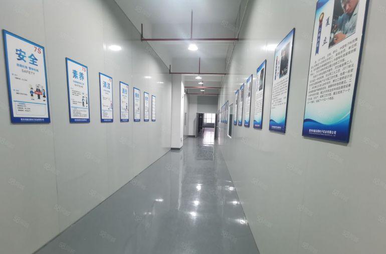 仲恺区陈江镇新出原房东精装修700平方出租