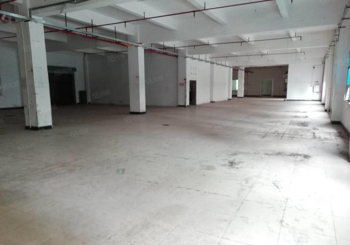 仲恺陈江小学附近500平方原房东厂房出租（可分租）证件齐全