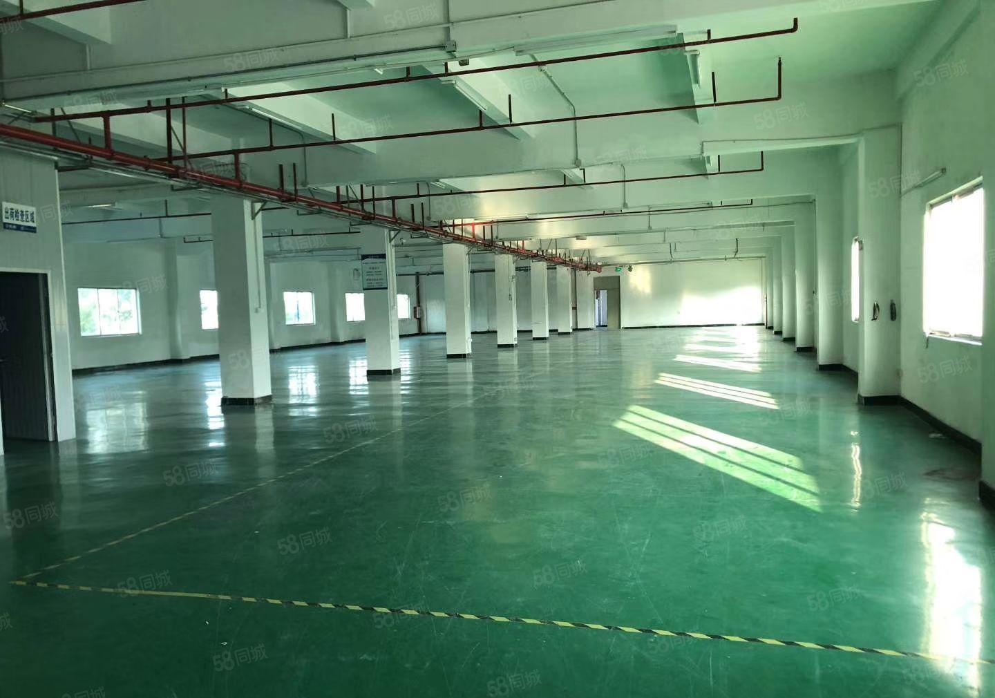 陈江协昌工业园花园式独院厂房7600平米出租 带装修 可分租