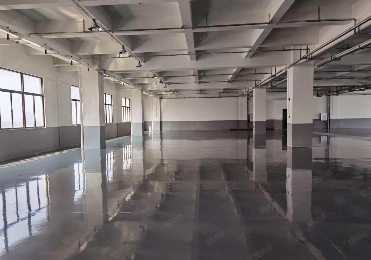 仲恺陈江镇东升村新建花园式厂房38万平方低价分租300起分