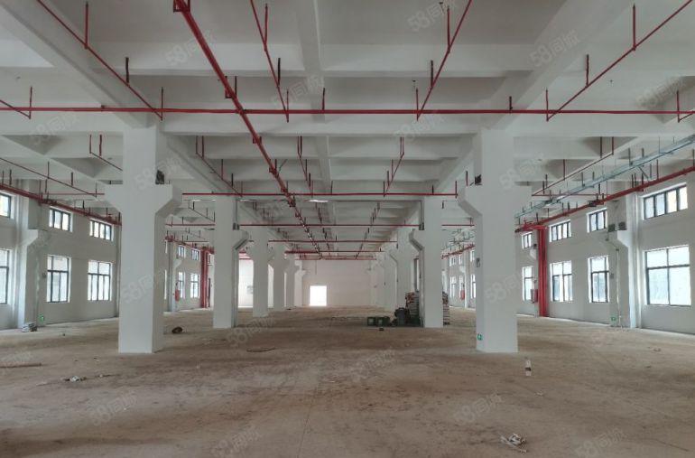 仲恺厂房出租，大小资源都有