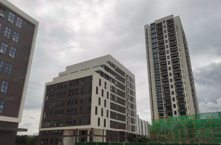 10块！仲恺全新厂房仓库出租空地大配套齐全可分租带卸货平台。