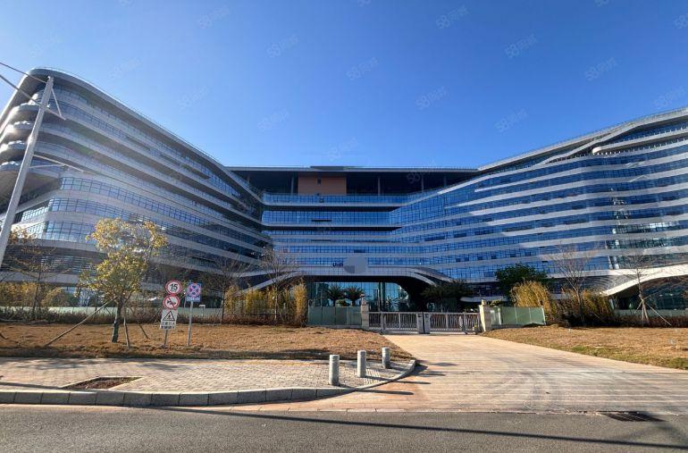 仲恺陈江A级形象厂房，原房东，1000平以上好分租，包隔墙