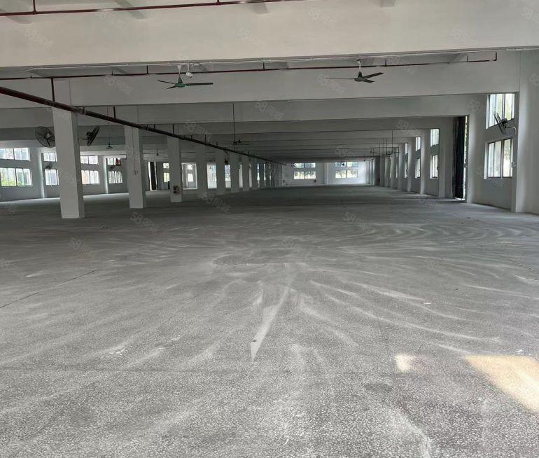 可租可售！低至10元！仲恺高新区全新红本厂房18000平出租