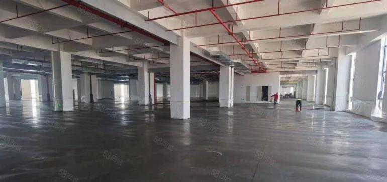 惠州市仲恺全新高标准红本厂房，一手业主，零公摊，隆重招商！