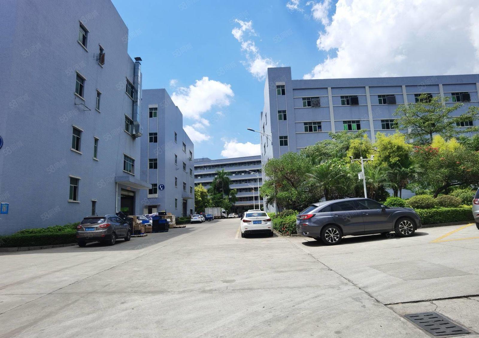 10元无尘车间无转让费，惠州僮侨楼上1000平原房东厂房出租