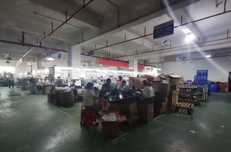 12元仲恺陈江五一4800平精装修厂房出租仓库可分租空地大