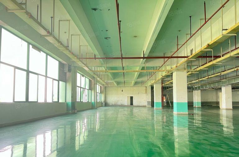 仲恺新出原房东9元精装修厂房仓库低价出租大小可分租水电齐全